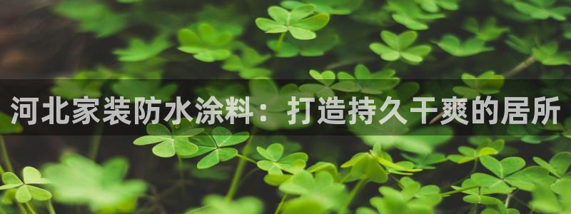 和记官方平台：河北家装防水涂料：打造持久干爽的居所