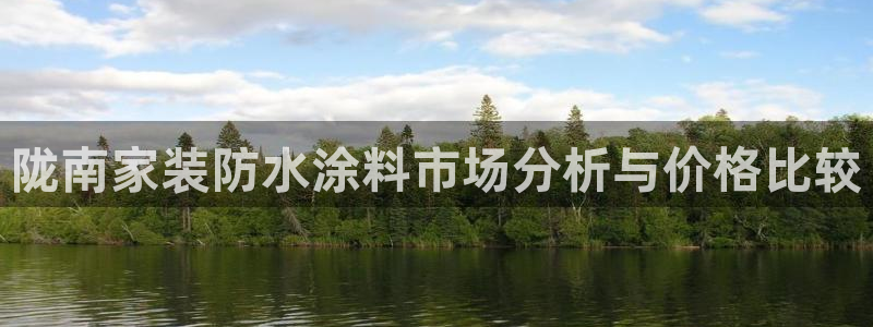 和记app官网登录：陇南家装防水涂料市场分析与价格比较