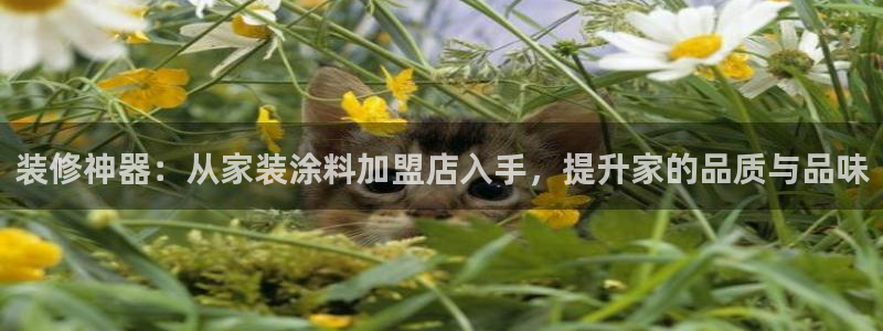 和记旗舰厅：装修神器：从家装涂料加盟店入手，提升家的品质与品