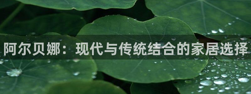 和记官方直营注册导航：阿尔贝娜：现代与传统结合的家居选择