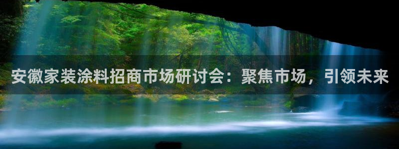 和记国际开户网站：安徽家装涂料招商市场研讨会：聚焦市场，引领