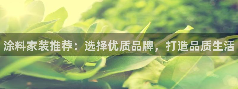 和记国际开户：涂料家装推荐：选择优质品牌，打造品质生活