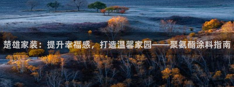 和记网页版：楚雄家装：提升幸福感，打造温馨家园——聚氨酯涂料指南