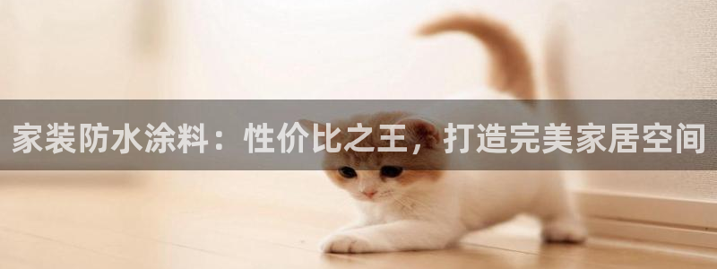 和记AG：家装防水涂料：性价比之王，打造完美家居空间