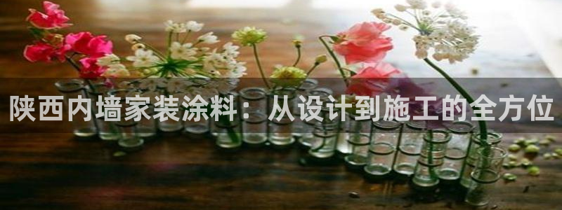 和记pc：陕西内墙家装涂料：从设计到施工的全方位