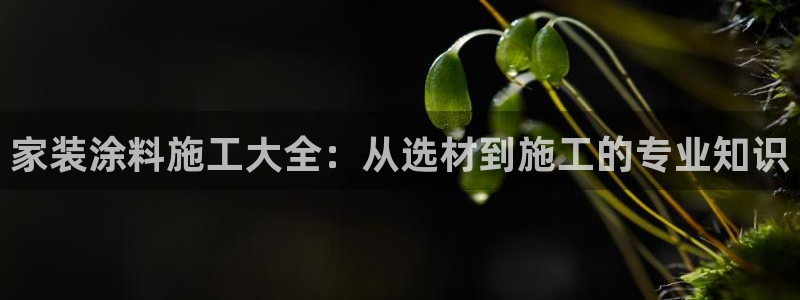 和记港口：家装涂料施工大全：从选材到施工的专业知识