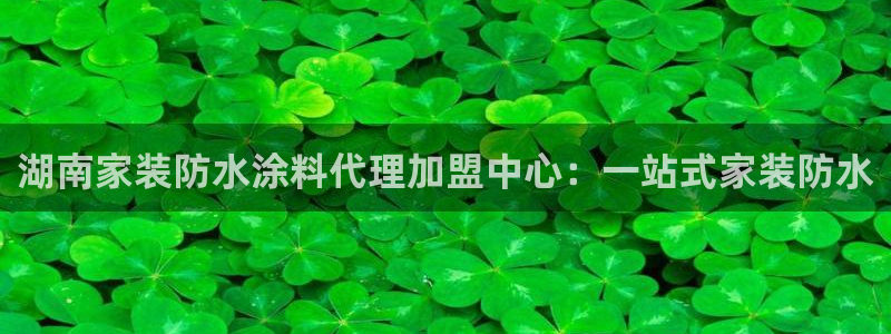 和记(福建)商贸有限公司：湖南家装防水涂料代理加盟中心：一站