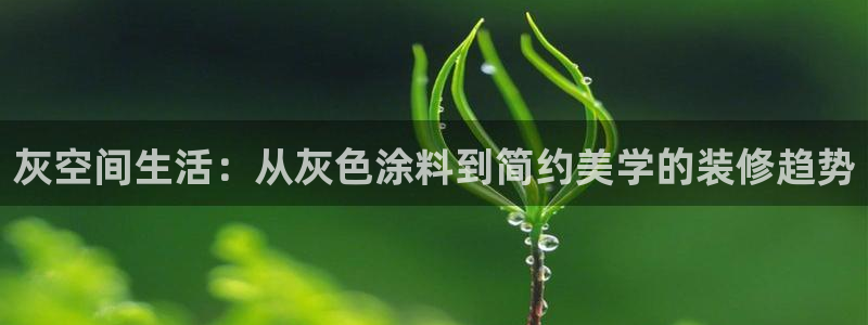 和记平台下载：灰空间生活：从灰色涂料到简约美学的装修趋势