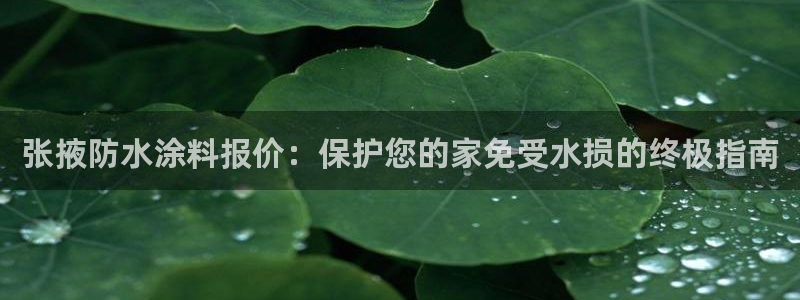和记ag网址：张掖防水涂料报价：保护您的家免受水损的终极指南