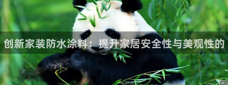 和记娱好网址：创新家装防水涂料：提升家居安全性与美观性的