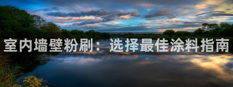 和记国际听：室内墙壁粉刷：选择最佳涂料指南